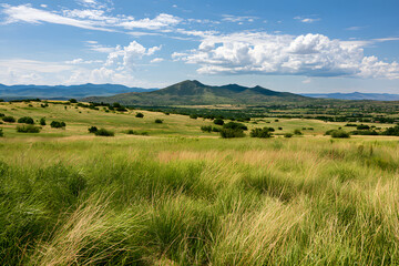 Obraz premium a view of the green landscape in Prescott Valley, Arizona, in the summer