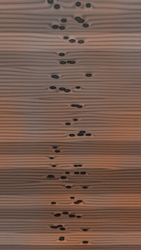 Abstract wood grain texture with dark oval spots