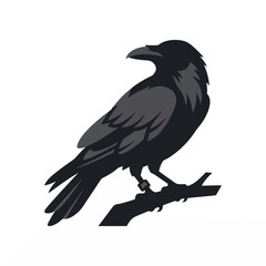 Fototapeta premium Vector illustration of a black raven perched on a tree branch with feather details