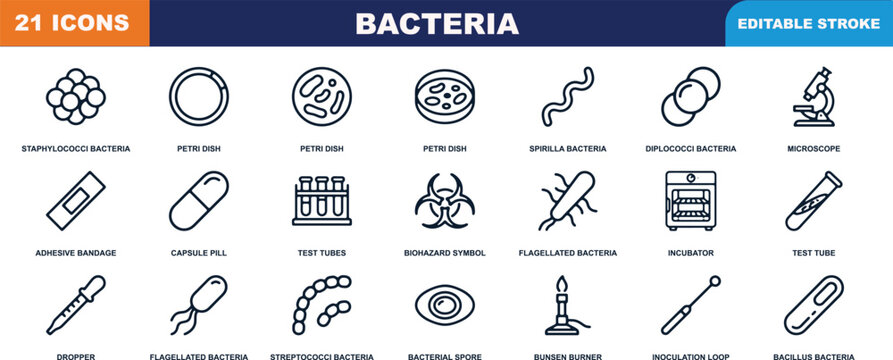Microbiology and bacteria outline vector icons set featuring microscopic organisms and laboratory equipment with editable stroke