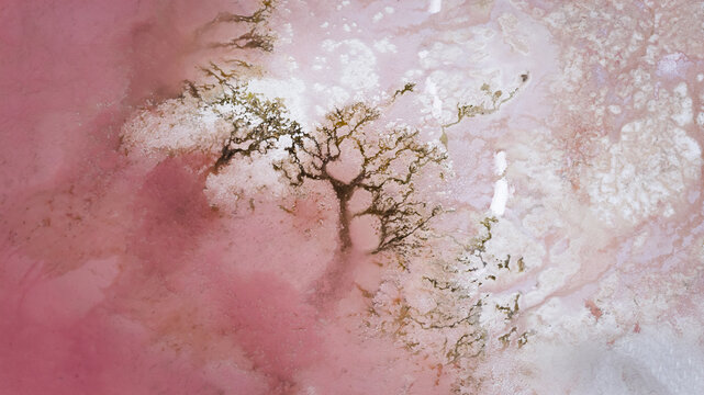 Aerial view of Hutt Lagoon showing vibrant pink water and intricate salt crust patterns in Yallabatharra, Western Australia, Australia.