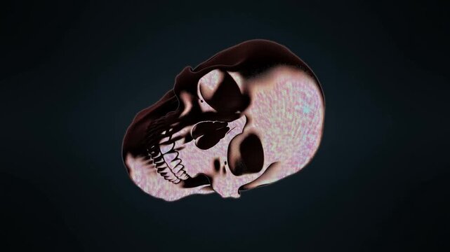 Human Skull Floating Against Dark Background with Dramatic Side Lighting