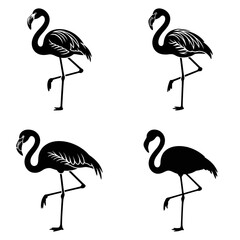 Obraz premium Flamingo silhouettes showcase elegant avian forms on a white background silhouette