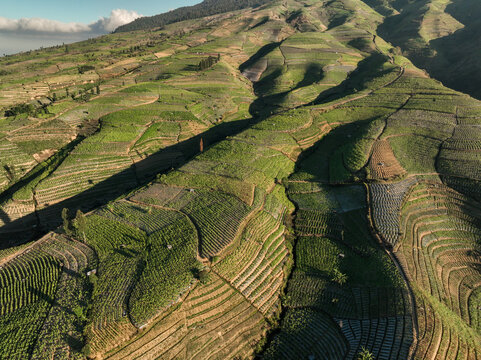 Aerial view of Glapansari Tobacco Plantation featuring lush green terraced hillsides and agricultural patterns in Parakan, Central Java, Indonesia.