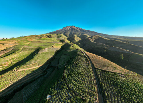 Aerial view of Glapansari Tobacco Plantation with terraced fields on the slopes of Mount Sindoro under a clear blue sky in Parakan, Central Java, Indonesia.
