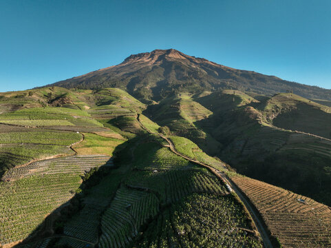 Aerial view of Glapansari Tobacco Plantation with lush terraced fields on the slopes of a mountain under a clear blue sky, Parakan, Central Java, Indonesia.