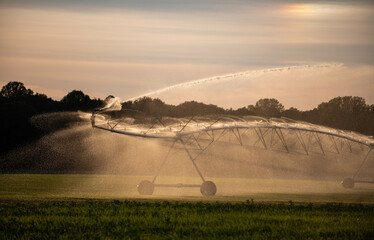 Water sprinkler sprays field. Pivot irrigation moves water. Green grass fills meadow. Rural background at sunset. © Svitlana