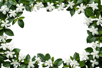 Fototapeta premium Dense jasmine flower frame with open center