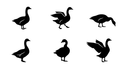 Obraz premium Goose Silhouette Icons, Vector Set: Graceful Bird Poses, Wildlife Graphics, Farm Animal Collection