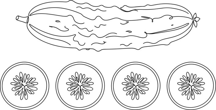Simple horizontal cucumber contour graphic with bumpy texture skin details and four round seed slices below