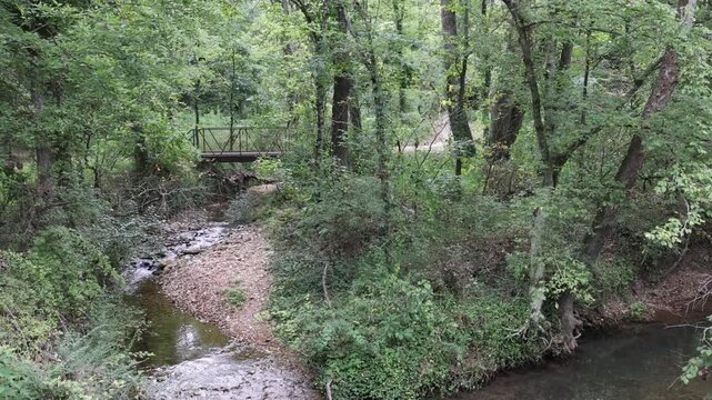 Metal pedestrian bridge over a forest stream.