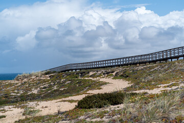 Wooden boardwalk along sandy coastal dunes with vegetation and the Atlantic Ocean in Portugal © Tomas Bazant