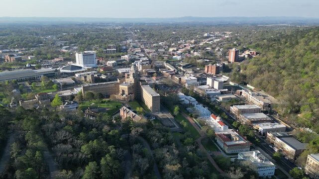 Aerial view of historic downtown charleston with greenery.