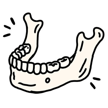 Human Mandible with Teeth Hand Drawn Anatomy Illustration