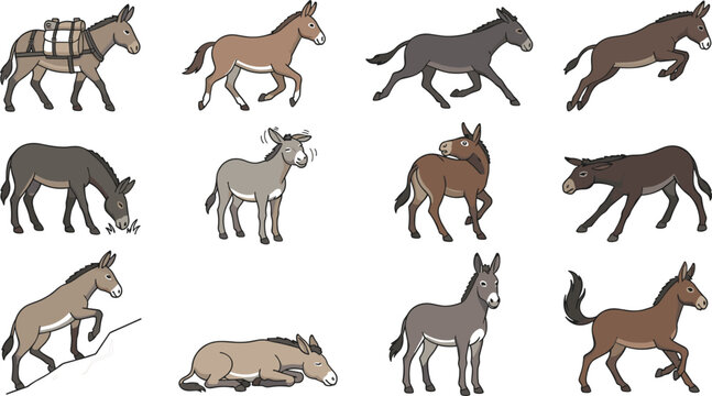 Donkey Mule Collection with Various Actions Trotting Galloping Carrying Luggage and Lying Down Hand Drawn Vector Illustration