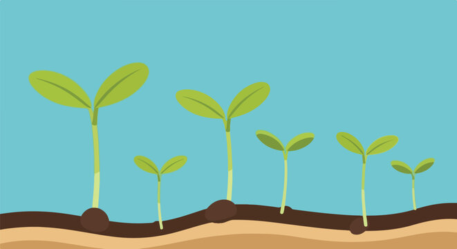 Vector illustration of green plant seedlings growing out of brown soil with seeds under a bright blue sky background.
