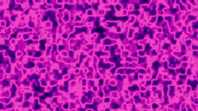 Abstract purple and magenta organic cell network texture suitable for seamless looping background overlay.