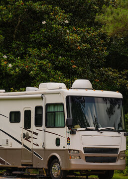 A large motorhome is parked in front of lush greenery and surrounded by vibrant foliage.