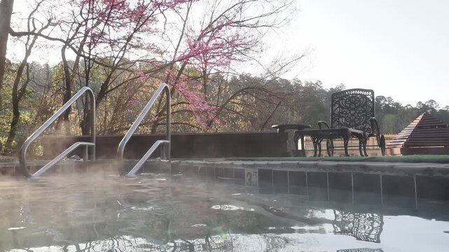 Steam rises from outdoor hot tub with cherry blossom trees.