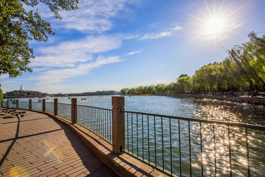 A bright sunny lakeside path with a metal railing, lined with green trees under a blue sky with white clouds.