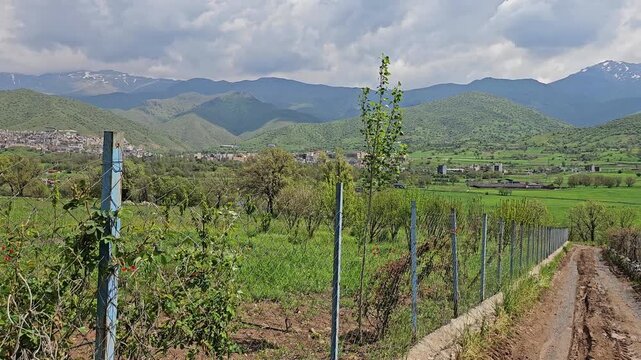 Rustic dirt road winds alongside a stone wall and vineyard rows, with scattered red wildflowers, a distant town, and snow-streaked mountains beneath dramatic clouds.
📍 Dorud, Sarvabad, Kurdistan 