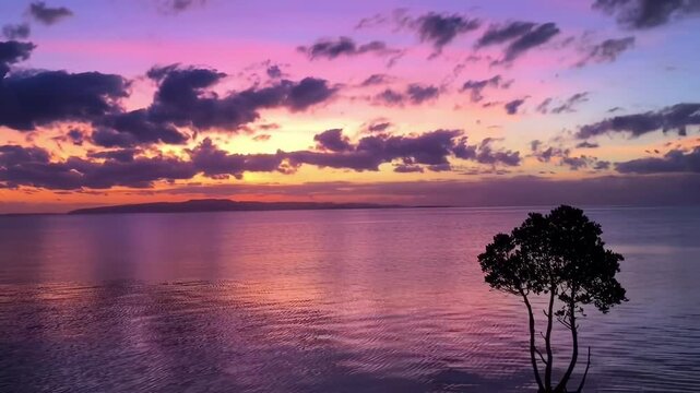 Stunning Sunset Over Calm Sea with Silhouette Tree and Distant Islands in Greece