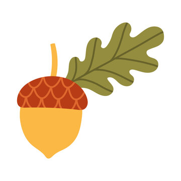 Vector illustration of a golden acorn with a green oak leaf on a stem. Flat autumn seasonal design element isolated on white background for fall graphics