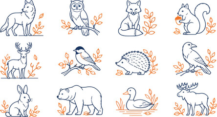 Obraz premium Woodland animal set with forest wildlife icons in line art