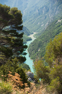 Lush Green Canyon with Turquoise River and Scenic View