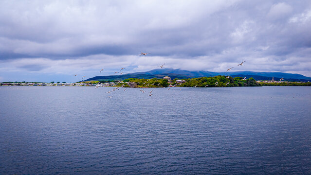 Geese Flying Over Haverigg Coastal Waters with Lakeland Fells in Cumbria