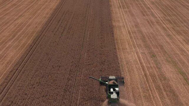Combine harvester and tractor work together in a large field, demonstrating the efficient harvesting of crops in a rural agricultural setting