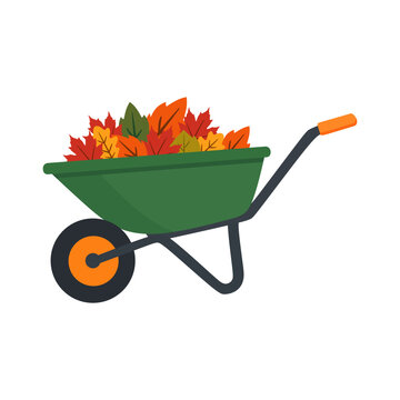 Green wheelbarrow full of colorful autumn leaves, flat vector illustration isolated on white background.
