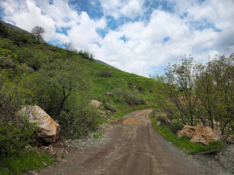 Serene dirt road winds through vibrant green hillside, framed by dense trees, wild shrubs, and lingering rain puddles beneath a soft cloudy sky.
📍 Dorud, Sarvabad, Kurdistan 