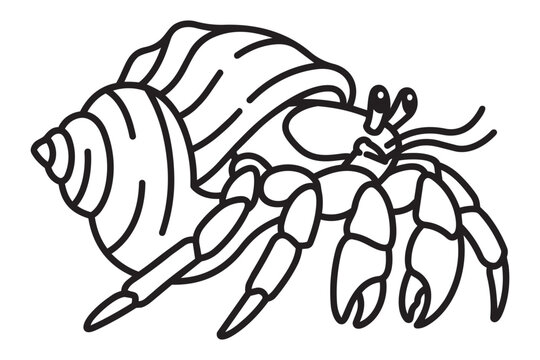 Hermit crab with spiraled seashell coloring page vector illustration outline art for kids activity book isolated on white background design graphic.