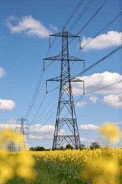 Power line towers stand tall over yellow rapeseed
