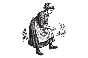 Obraz premium Vintage etching illustration of a woman in an apron working in a garden with domestic