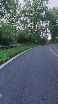 POV cycling along a smooth winding mountain road surrounded by lush forest, with a clear road, guardrail and vibrant greenery creating an immersive outdoor scene.