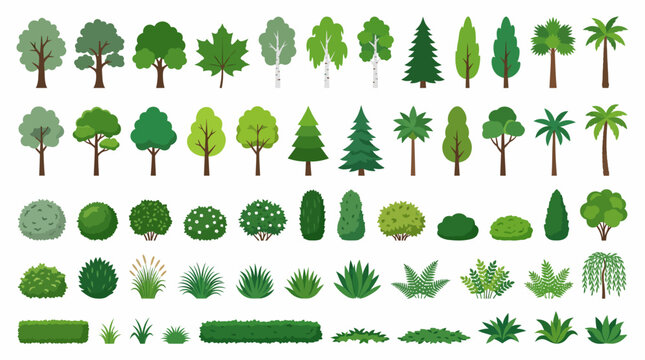 Flat vector tree and bush collection, 60 green plant icons for landscape design, botanical garden elements set for architectural visualization