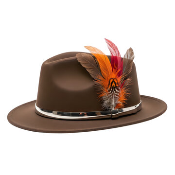 Brown felt fedora hat with colorful feathers