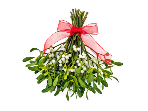 Festive mistletoe bouquet tied with red ribbon bow for holiday season decor item.