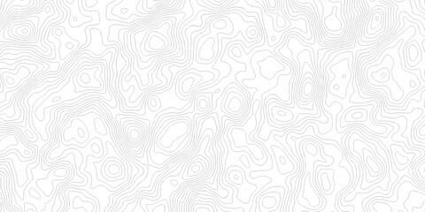 Abstract grid landscape topography white background. white and black relief line wireframe isoline location diagram world map texture design.   © MOHAMMAD