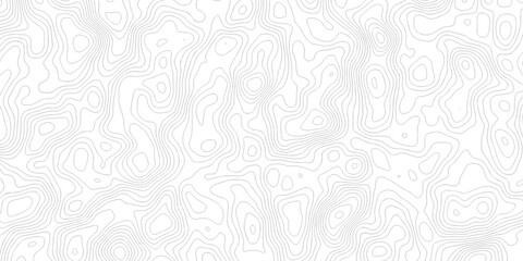 Abstract grid landscape topography white background. white and black relief line wireframe isoline location diagram world map texture design.   © MOHAMMAD