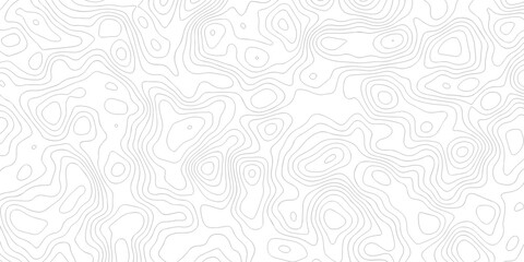 Abstract grid landscape topography white background. white and black relief line wireframe isoline location diagram world map texture design.   © MOHAMMAD