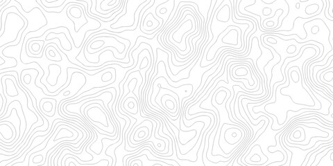 Abstract grid landscape topography white background. white and black relief line wireframe isoline location diagram world map texture design.   © MOHAMMAD
