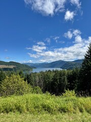 Fototapeta premium Beautiful view of Riffe lake in Washington on summer day 