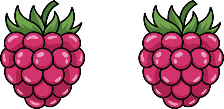 Four cartoon raspberries in different shapes and viewing angles, colorful berry fruit illustrations for food packaging, menus and summer designs
