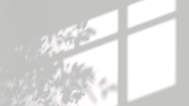 Diagonal shadow window frame with tree branch movement footage video 3d rendering