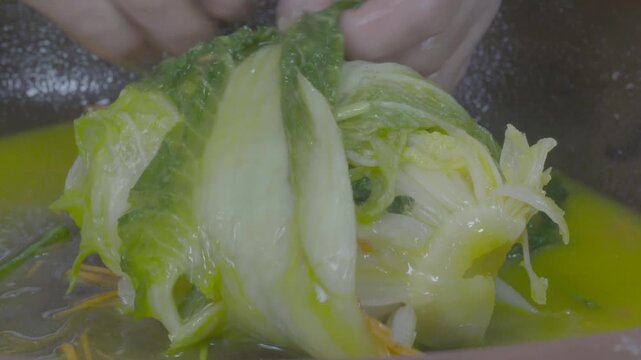 김장 김치 백김치 전통 한식 배추 절임배추 양념 소 김장철 발효식품 발효 전통음식 한국음식 식재료 반찬 유네스코인류무형문화유산 김장문화 손맛 정성 가정식 항아리 옹기
