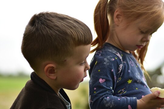Two young children spending time together outdoors while holding a fresh apple. Natural sibling moment, healthy snack, childhood friendship, family bonding and peaceful countryside lifestyle.