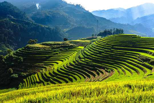Vietnam. Yen Bai Province. Mu Cang Chai. La Pan Tan Valley. Mam Xoi terraced rice fields